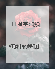 王征宇：琥珀虹膜中的我们