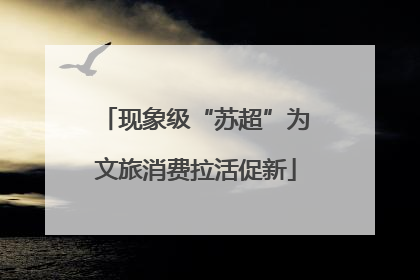 现象级“苏超”为文旅消费拉活促新