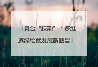 灵台“绿韵”：多维逐绿绘就发展新图景