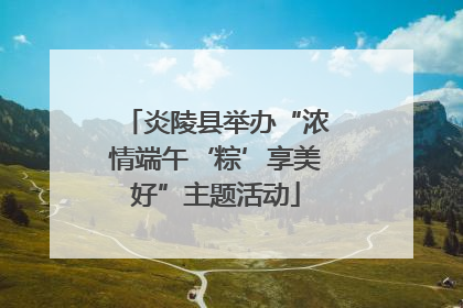 炎陵县举办“浓情端午‘粽’享美好”主题活动