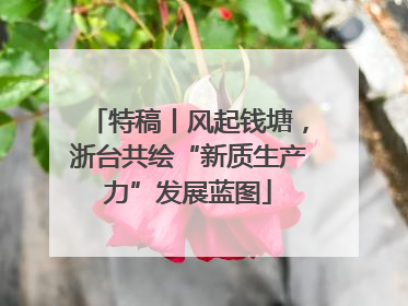 特稿丨风起钱塘，浙台共绘“新质生产力”发展蓝图