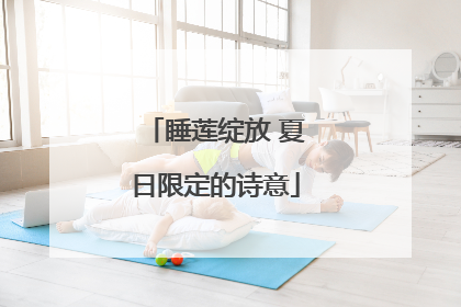 睡莲绽放 夏日限定的诗意