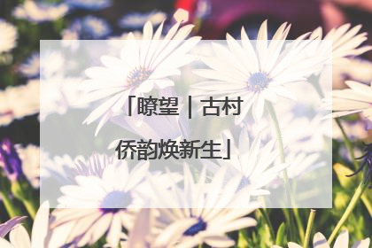 瞭望｜古村侨韵焕新生