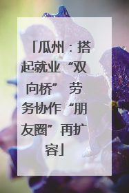 瓜州：搭起就业“双向桥” 劳务协作“朋友圈”再扩容