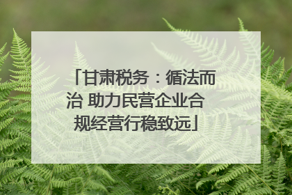 甘肃税务：循法而治 助力民营企业合规经营行稳致远