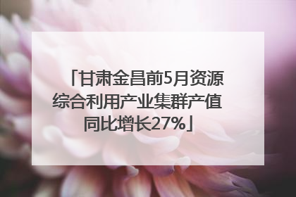 甘肃金昌前5月资源综合利用产业集群产值同比增长27%