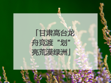 甘肃高台龙舟竞渡“划”亮荒漠绿洲