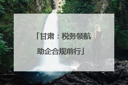 甘肃：税务领航 助企合规前行