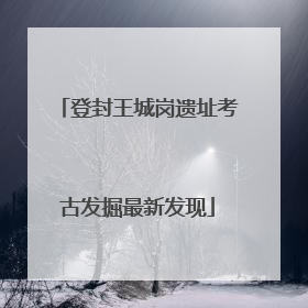 登封王城岗遗址考古发掘最新发现
