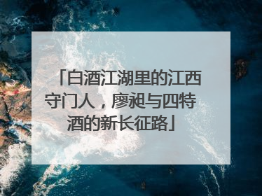 白酒江湖里的江西守门人，廖昶与四特酒的新长征路