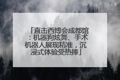 直击西博会成都馆：机器狗炫舞、手术机器人展现精准，沉浸式体验受热捧