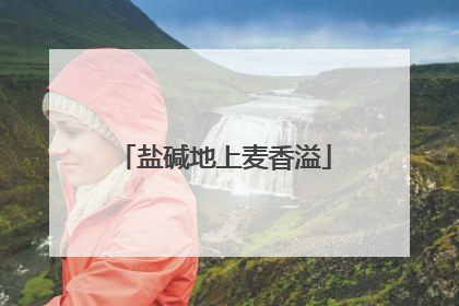 盐碱地上麦香溢