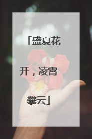 盛夏花开，凌霄攀云