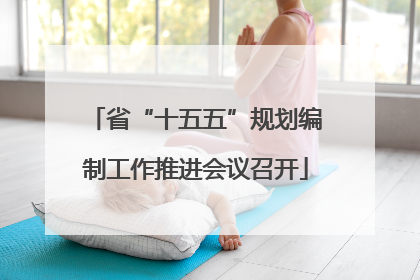 省“十五五”规划编制工作推进会议召开