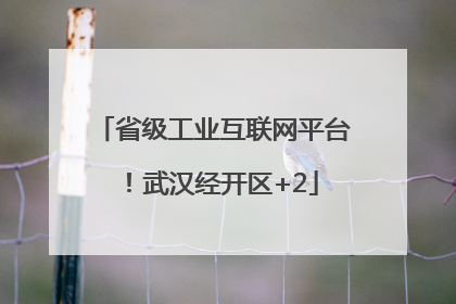 省级工业互联网平台！武汉经开区+2