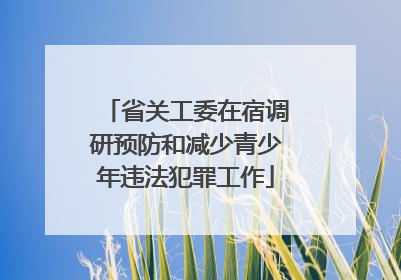 省关工委在宿调研预防和减少青少年违法犯罪工作