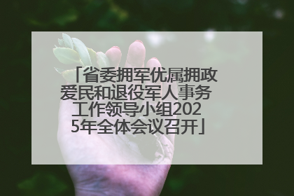 省委拥军优属拥政爱民和退役军人事务工作领导小组2025年全体会议召开