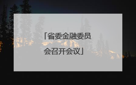 省委金融委员会召开会议