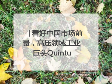 看好中国市场前景，高压领域工业巨头Quintus科技深化本土策略，构建全方位服务亚太区总部