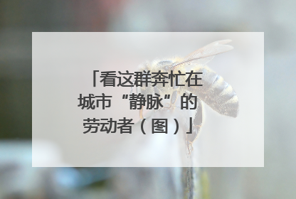 看这群奔忙在城市“静脉”的劳动者（图）