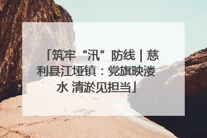 筑牢“汛”防线｜慈利县江垭镇：党旗映溇水 清淤见担当