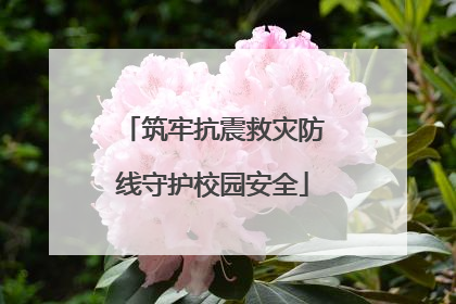 筑牢抗震救灾防线守护校园安全