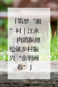 筑梦“湘”村｜江永：肉鸽振翅绘就乡村振兴“金羽画卷”