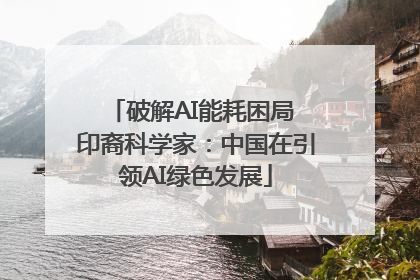 破解AI能耗困局 印裔科学家：中国在引领AI绿色发展