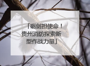 砺剑担使命！贵州消防探索新型作战力量