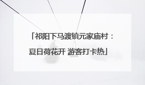 祁阳下马渡镇元家庙村：夏日荷花开 游客打卡热
