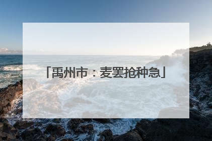 禹州市：麦罢抢种急