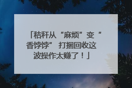 秸秆从“麻烦”变“香饽饽” 打捆回收这波操作太赚了！
