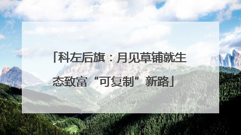 科左后旗：月见草铺就生态致富“可复制”新路