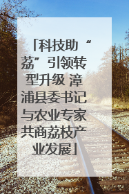 科技助“荔”引领转型升级 漳浦县委书记与农业专家共商荔枝产业发展