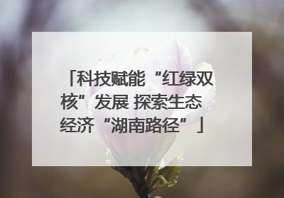 科技赋能“红绿双核”发展 探索生态经济“湖南路径”