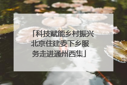 科技赋能乡村振兴 北京住建委下乡服务走进通州西集