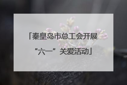 秦皇岛市总工会开展“六一”关爱活动