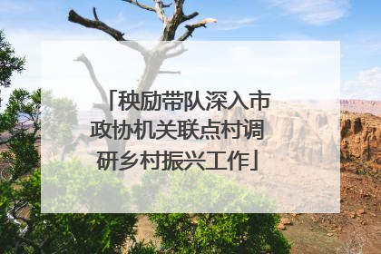 秧励带队深入市政协机关联点村调研乡村振兴工作