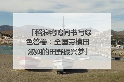 稻浪鸭鸣间书写绿色答卷：全国劳模田淑娴的田野振兴梦