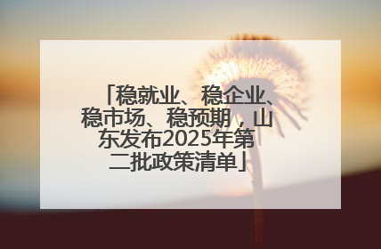 稳就业、稳企业、稳市场、稳预期，山东发布2025年第二批政策清单