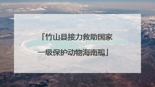 竹山县接力救助国家一级保护动物海南鳽