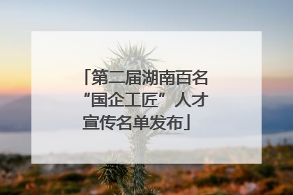 第二届湖南百名“国企工匠”人才宣传名单发布