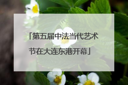 第五届中法当代艺术节在大连东港开幕