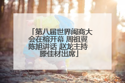 第八届世界闽商大会在榕开幕 周祖翼陈旭讲话 赵龙主持 滕佳材出席