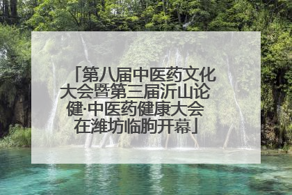 第八届中医药文化大会暨第三届沂山论健·中医药健康大会在潍坊临朐开幕
