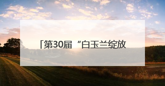 第30届“白玉兰绽放”电视节临港新片区CITY WALK路线