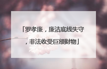 罗孝廉，廉洁底线失守，非法收受巨额财物