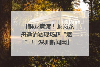 群龙竞渡！龙岗龙舟邀请赛现场超“燃”！_深圳新闻网