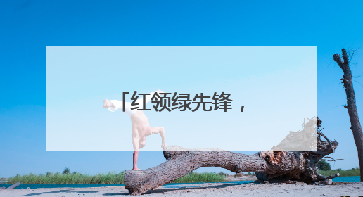 红领绿先锋，低碳伴童行