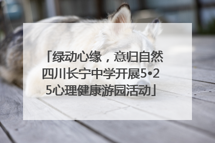 绿动心缘，意归自然 四川长宁中学开展5•25心理健康游园活动